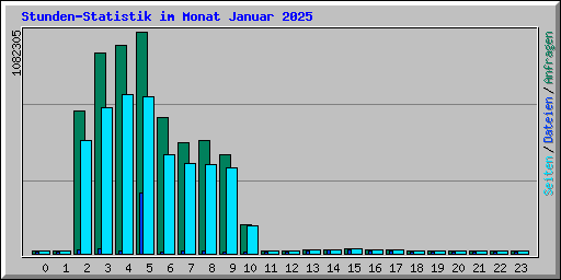 Stunden-Statistik im Monat Januar 2025