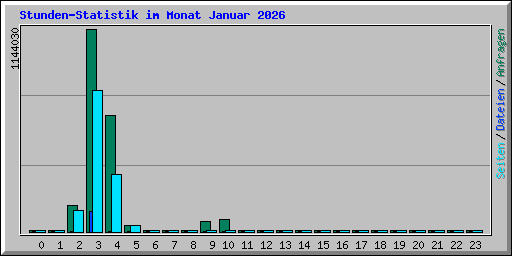 Stunden-Statistik im Monat Januar 2026